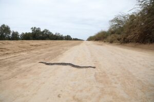 Ruta-Bioceanica02072026-4