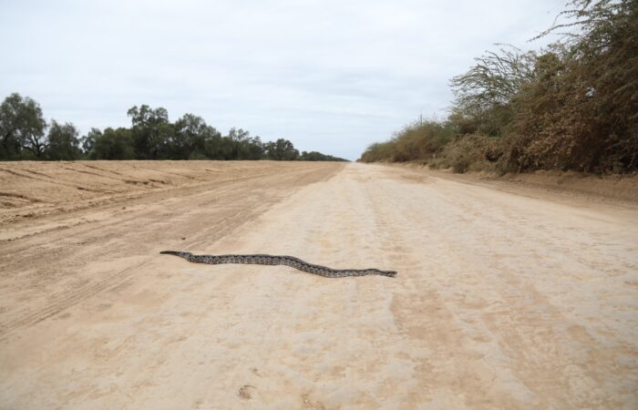 Ruta-Bioceanica02072026-4