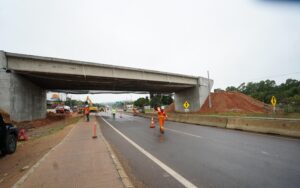 Pedroz03092026