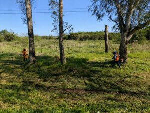 ruta-PY0103092026-2
