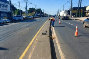 ruta-PY0103092026-4