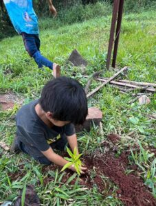 reforestacion-en-Presidente-Franco09092026-2